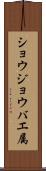 ショウジョウバエ属 Scroll