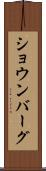ショウンバーグ Scroll