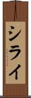 シライ Scroll