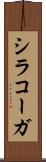 シラコーガ Scroll