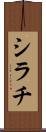 シラチ Scroll