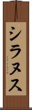 シラヌス Scroll