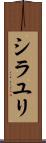 シラユリ Scroll