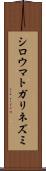 シロウマトガリネズミ Scroll