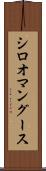 シロオマングース Scroll