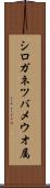 シロガネツバメウオ属 Scroll