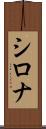 Shirona Scroll