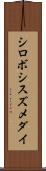 シロボシスズメダイ Scroll