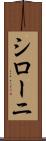 シローニ Scroll