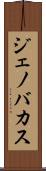 Jenovacus Scroll