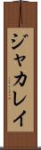 ジャカレイ Scroll