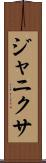 Janixa Scroll
