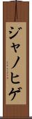 ジャノヒゲ Scroll