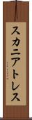 スカニアトレス Scroll