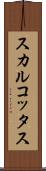 スカルコッタス Scroll