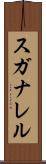 スガナレル Scroll
