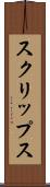 スクリップス Scroll