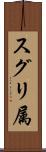 スグリ属 Scroll