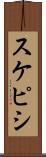 スケピシ Scroll