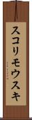 スコリモウスキ Scroll