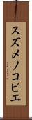 スズメノコビエ Scroll