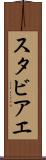 スタビアエ Scroll