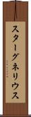 スターグネリウス Scroll