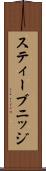 スティーブニッジ Scroll