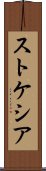 ストケシア Scroll