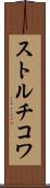 ストルチコワ Scroll
