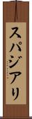 スパジアリ Scroll