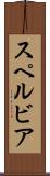 スペルビア Scroll