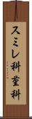 スミレ科 Scroll