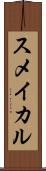 スメイカル Scroll