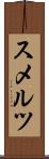 スメルツ Scroll