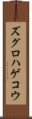 ズグロハゲコウ Scroll