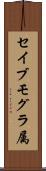 セイブモグラ属 Scroll