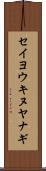 セイヨウキヌヤナギ Scroll