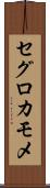 セグロカモメ Scroll