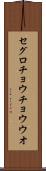 セグロチョウチョウウオ Scroll