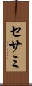 セサミ Scroll