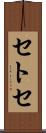 セトセ Scroll