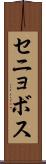 セニョボス Scroll