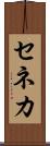 セネカ Scroll