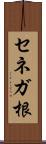 セネガ根 Scroll
