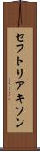 セフトリアキソン Scroll