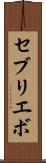 セブリエボ Scroll