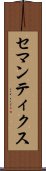 セマンティクス Scroll