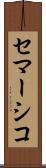セマーシコ Scroll