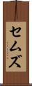 セムズ Scroll